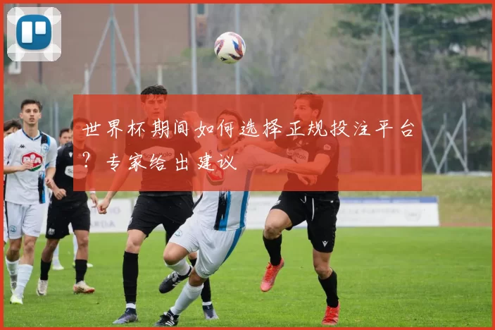 世界杯期间如何选择正规投注平台？专家给出建议