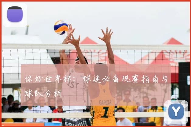 你好世界杯：球迷必备观赛指南与球队分析