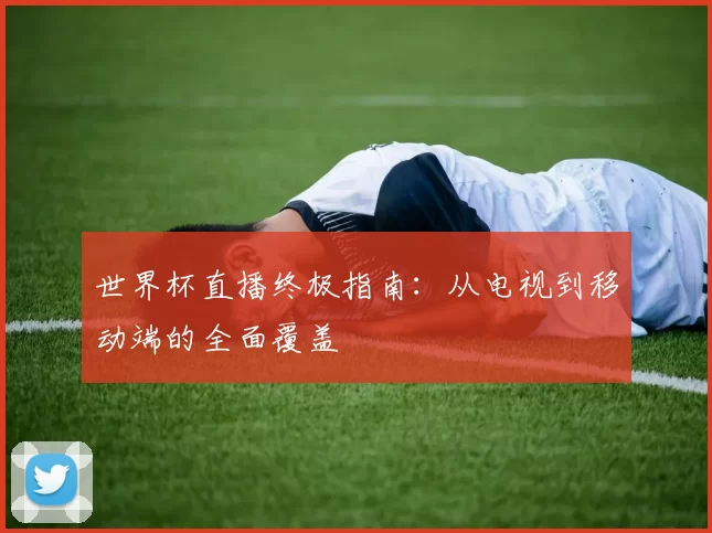 世界杯直播终极指南：从电视到移动端的全面覆盖