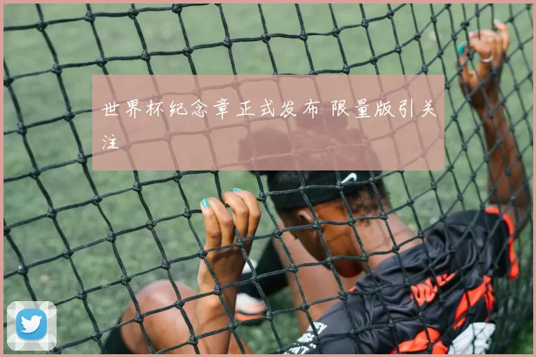 世界杯纪念章正式发布 限量版引关注
