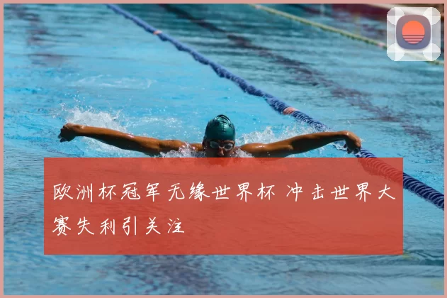 欧洲杯冠军无缘世界杯 冲击世界大赛失利引关注