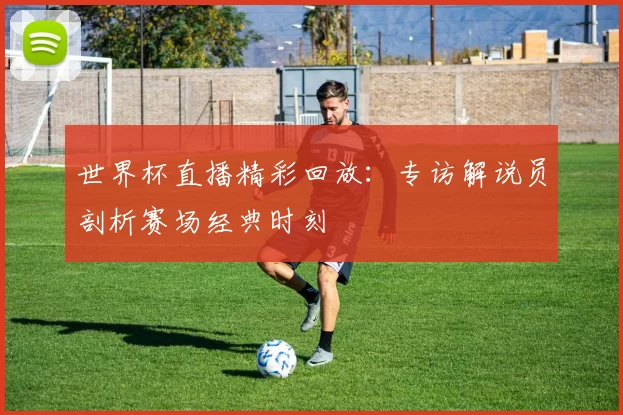 世界杯直播精彩回放：专访解说员剖析赛场经典时刻