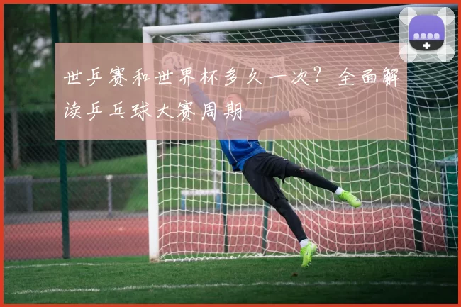 世乒赛和世界杯多久一次？全面解读乒乓球大赛周期